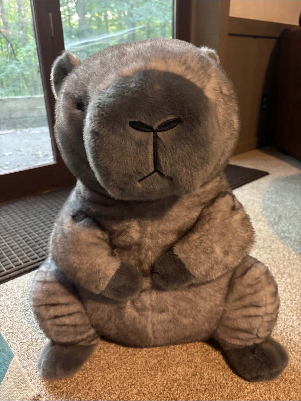 Grey Capybara Plush- 23 inches